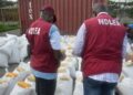 NDLEA CALLS FOR REMOVAL OF FINE FOR DRUG TRAFFICKERS, STIFFER PENALTIES